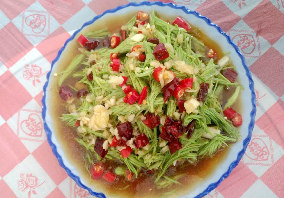农村大妈用松针做的这道美食28元一份,吃过还想吃|美食|松针|大妈|芦笋|农村_新浪新闻