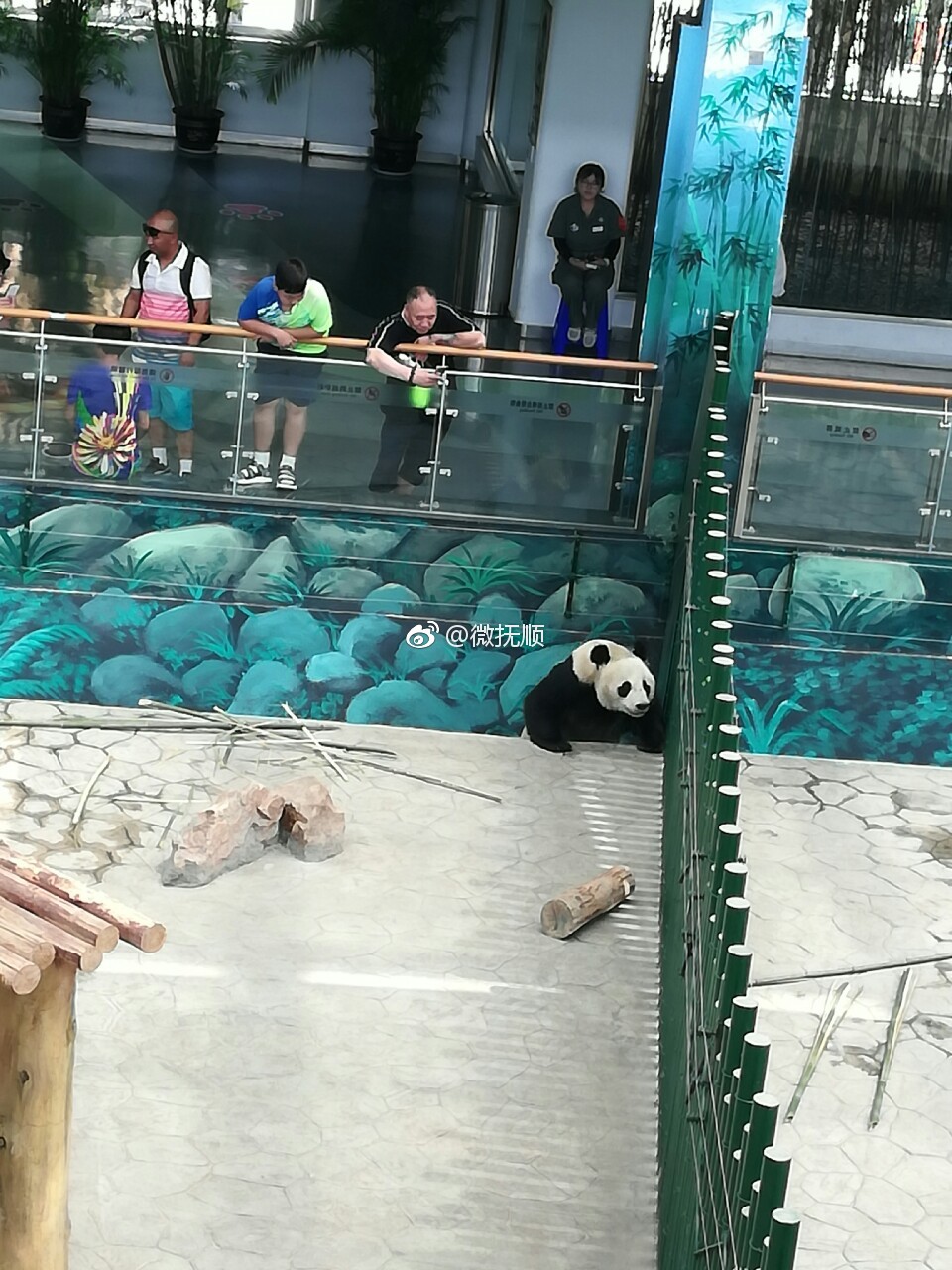 抚顺周边游沈阳森林动物园