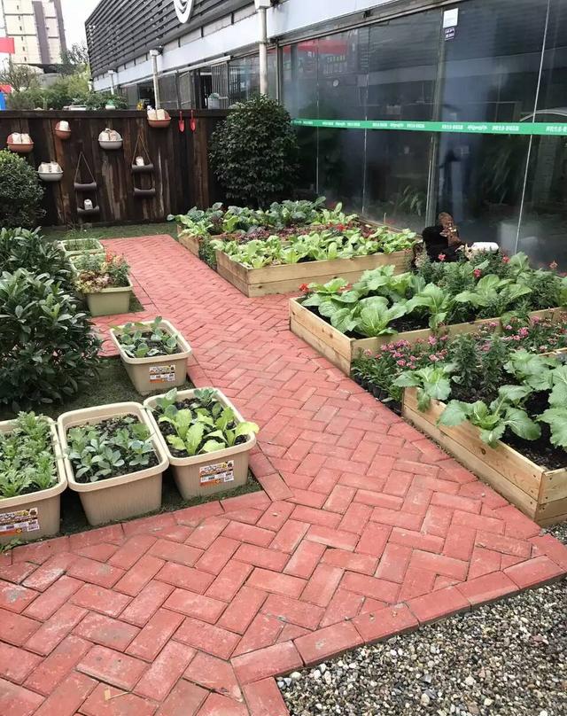 阳台菜园经典收藏,原来种菜也可以这么美