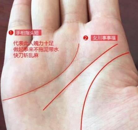 天生辛苦命手相, 婚姻上难有丈夫依靠, 事业上靠自己支撑, 命苦