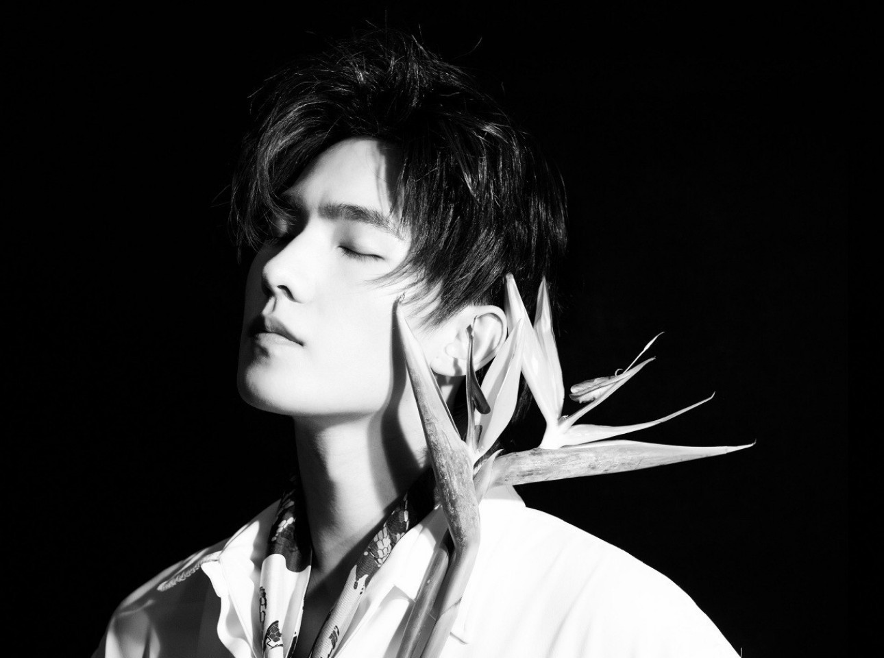 昨天鹿晗鲻鱼头造型曝光后|鹿晗|鲻|杨洋_新浪新闻