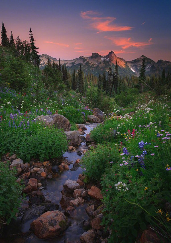 越有故事的人越沉静简单,越肤浅单薄的人越浮躁不安.真正的强者