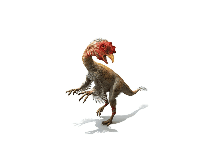 先有鸡还是先有蛋科学家答案需追溯到恐龙时代