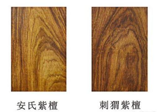 海南黄花梨和草花梨有什么区别呢?