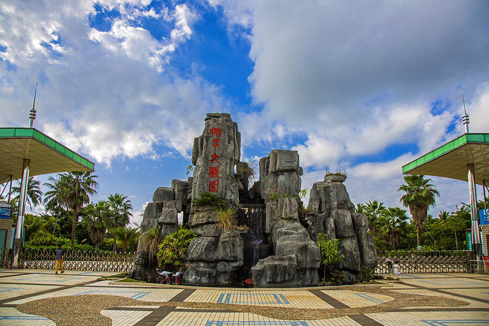 文昌椰子大观园:这里的椰子品种最全,私藏无限风光和诱人美食!