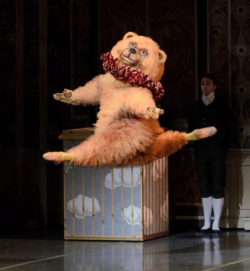 波士顿芭蕾舞团的熊