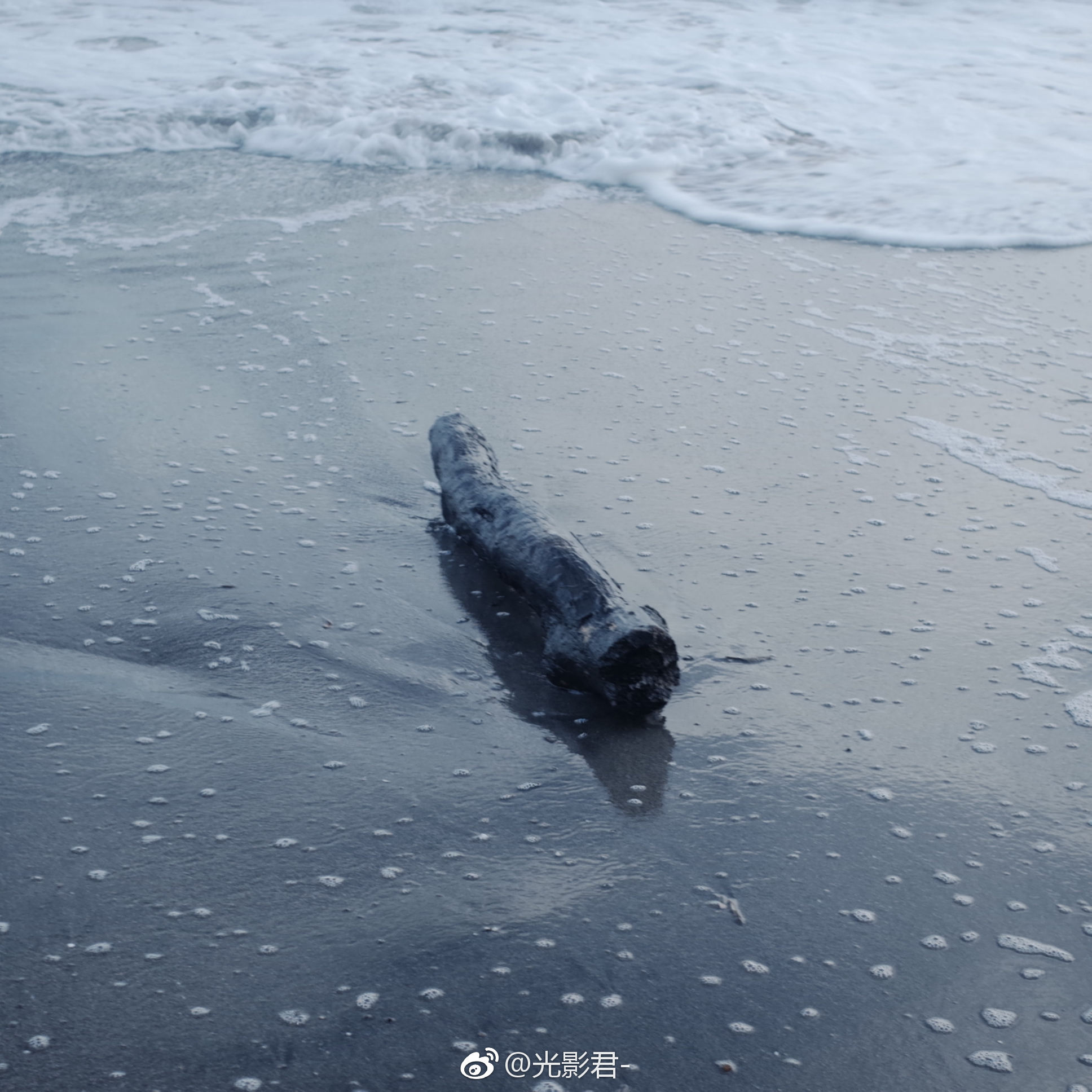 在海边看海水退潮 台风天在家看金鱼 看花火打上然后泯灭 在海边看海水退潮 台风天在家看金鱼 看花火打上然后泯灭