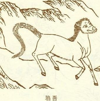 关于《神奇动物在哪里2》中的中国神兽“驺吾”,你需要知道这些|神奇动物在哪里2|神兽|山海经_新浪新闻