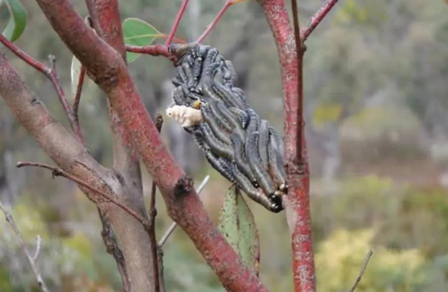 起鸡皮疙瘩有事吗(起鸡皮疙瘩有事吗图片)
