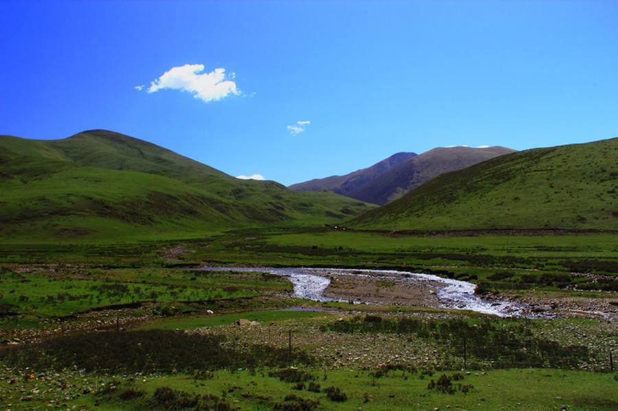 归山深浅去,须尽丘壑美
