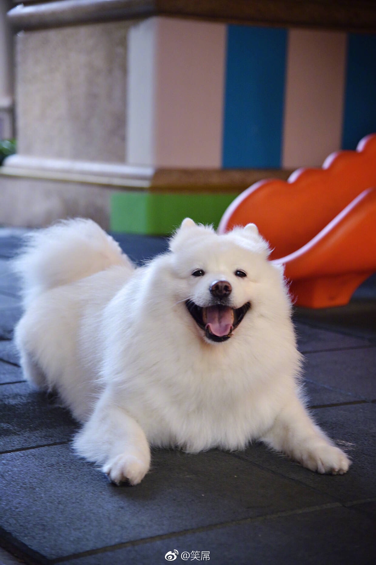 只有天晴了才会笑的这么开心