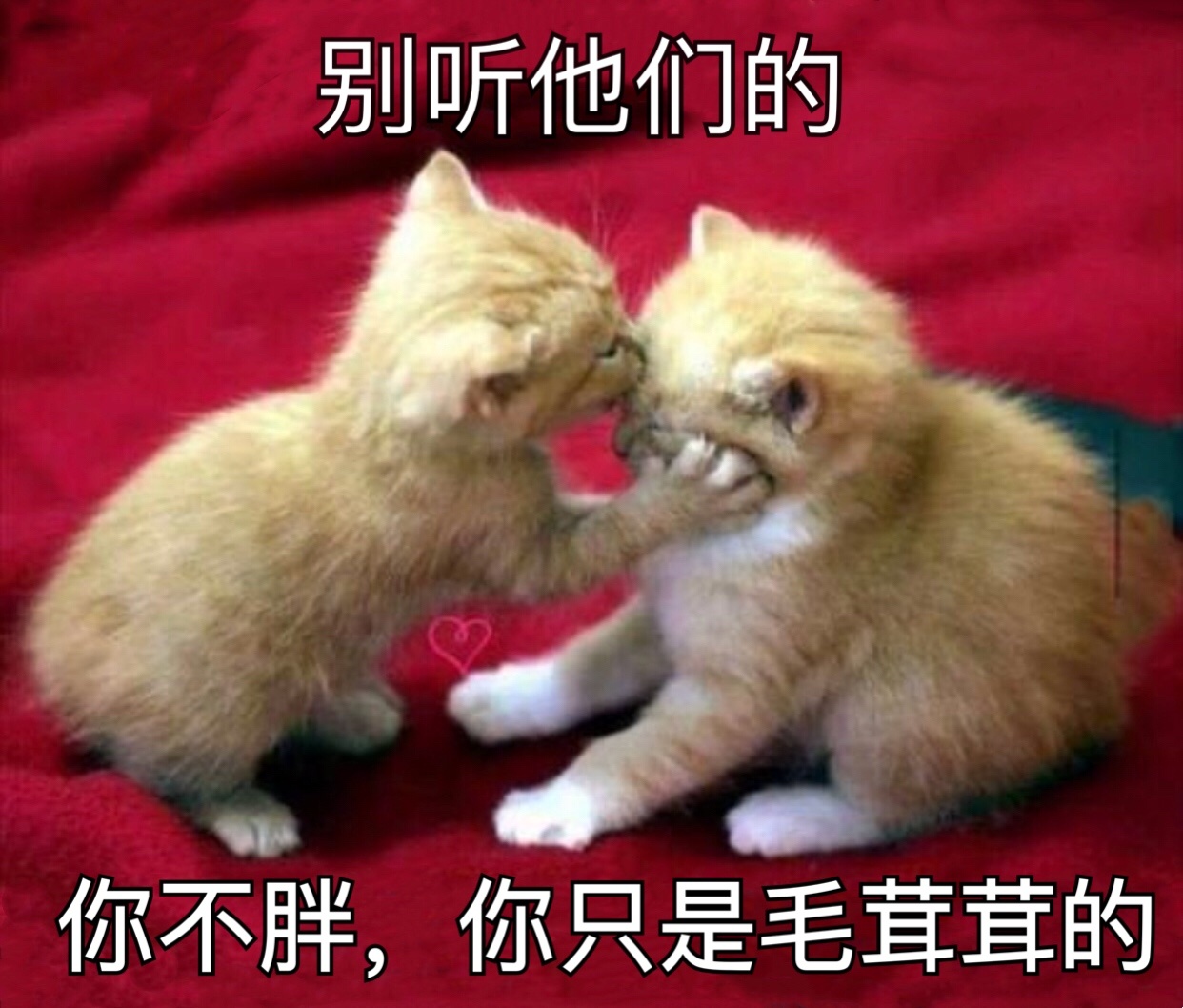 安宁陌陌怎么找接单的兼职女生