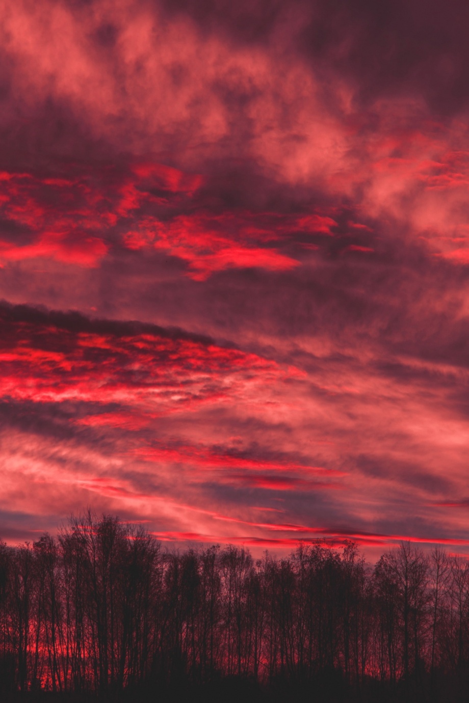 红色风景picbydennybitte