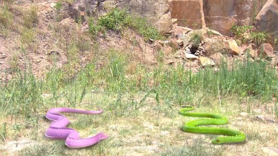 雪蛟突然很难受,原来是人劫到了,姐姐帮助她度过人劫