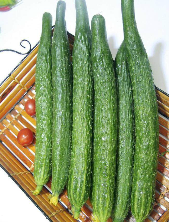 黄瓜有什么营养,黄瓜片敷脸真的补水吗,你错