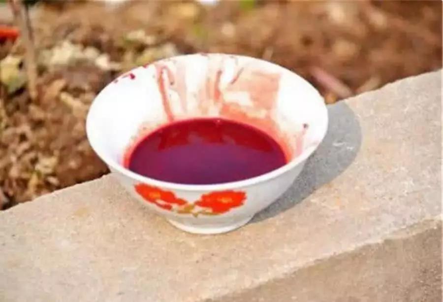 睡前在床边放上满满的一碗血,晚上蚊子还会咬人吗?看完涨知识了