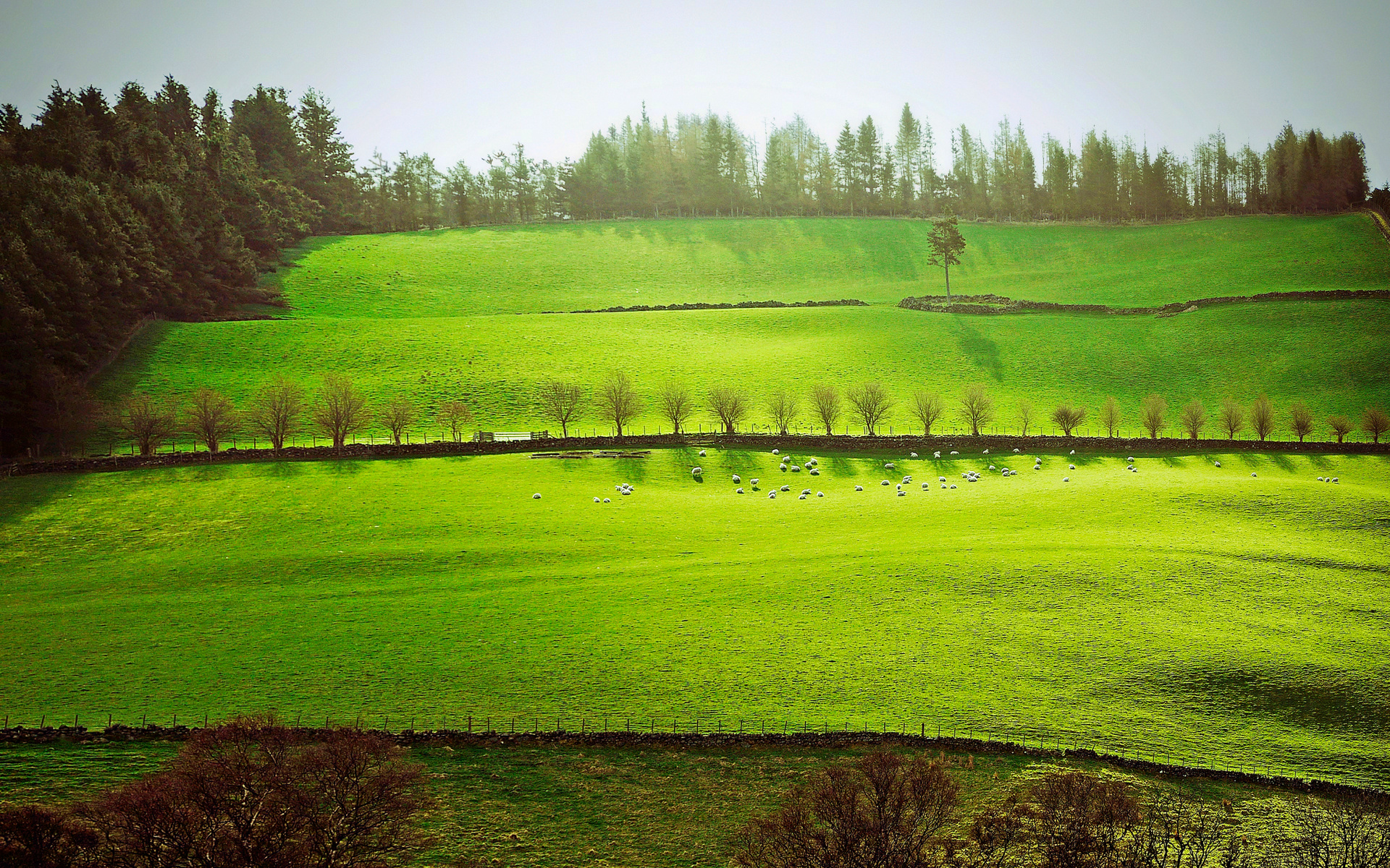 用一颗美好之心看世间风景用一颗快乐之心