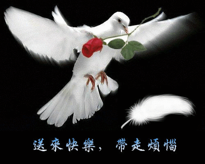 400_320gif 动态图 动图