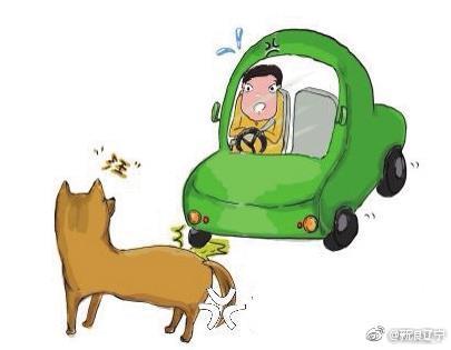 开车撞到狗了车坏了能不能走保险