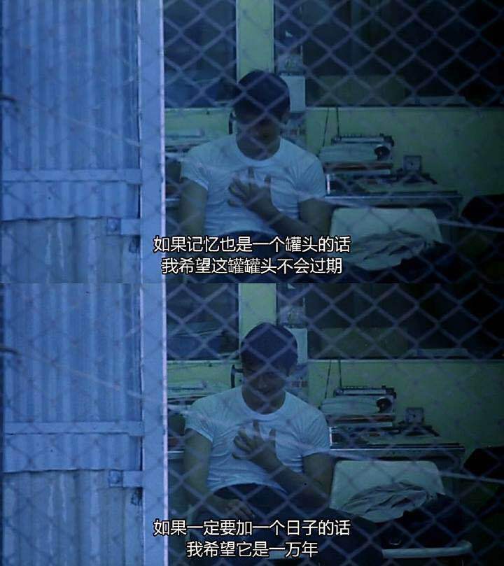 "秋刀鱼会过期|过期|秋刀鱼|重庆森林_新浪网