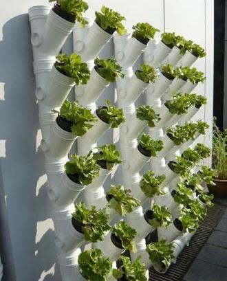 教你用pvc水管种菜绿色环保的有机菜想吃就能吃