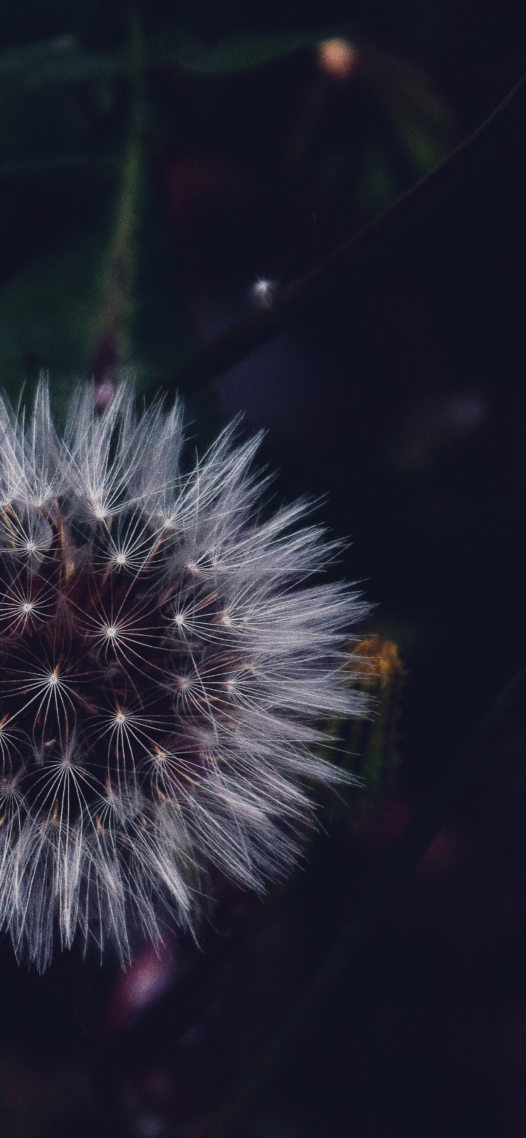 16款黑色系iphone xs max专用高清壁纸,真的很好看