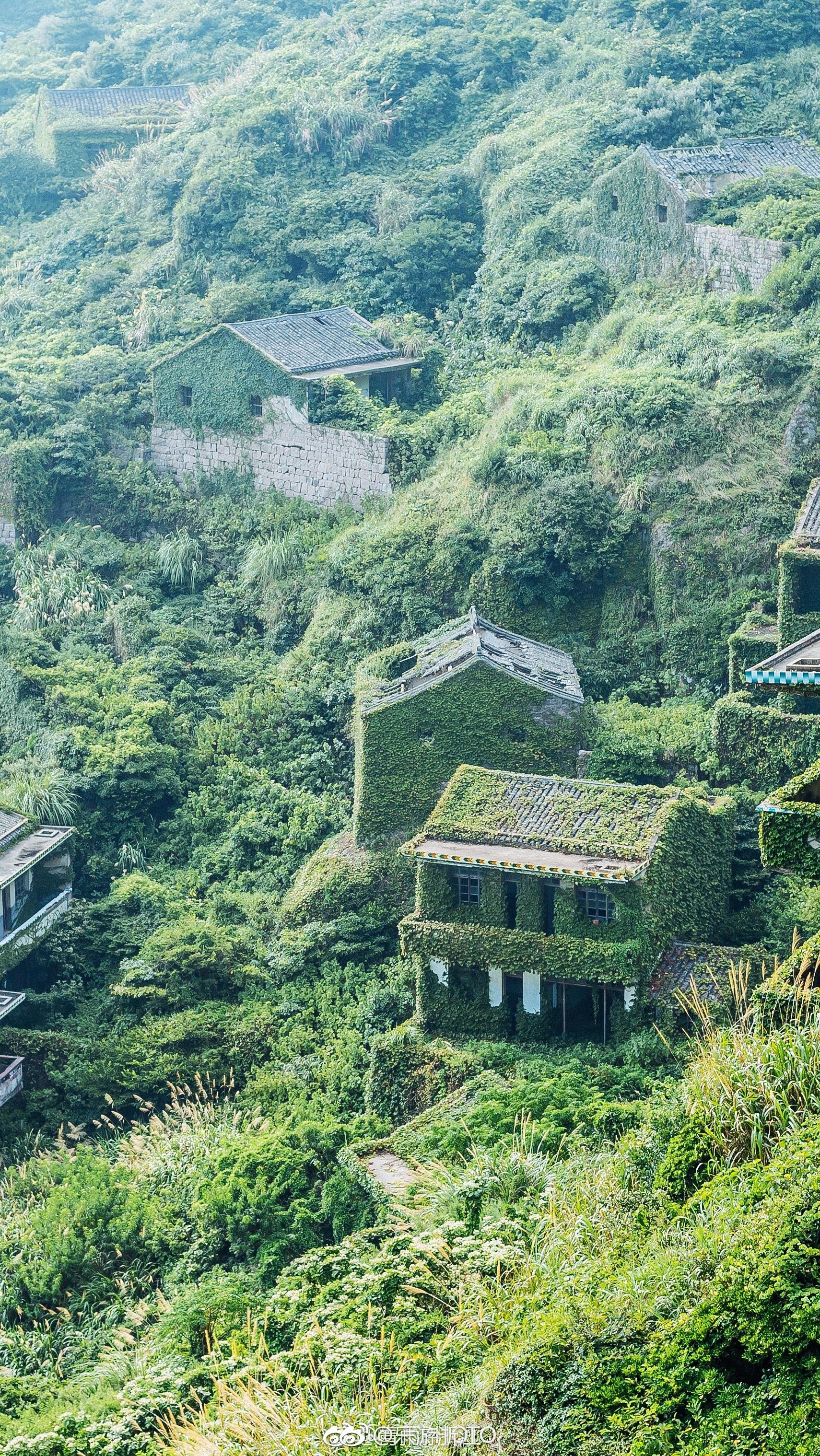 浙江舟山嵊山岛无人村,每一张都能做壁纸 via.@青雨photo