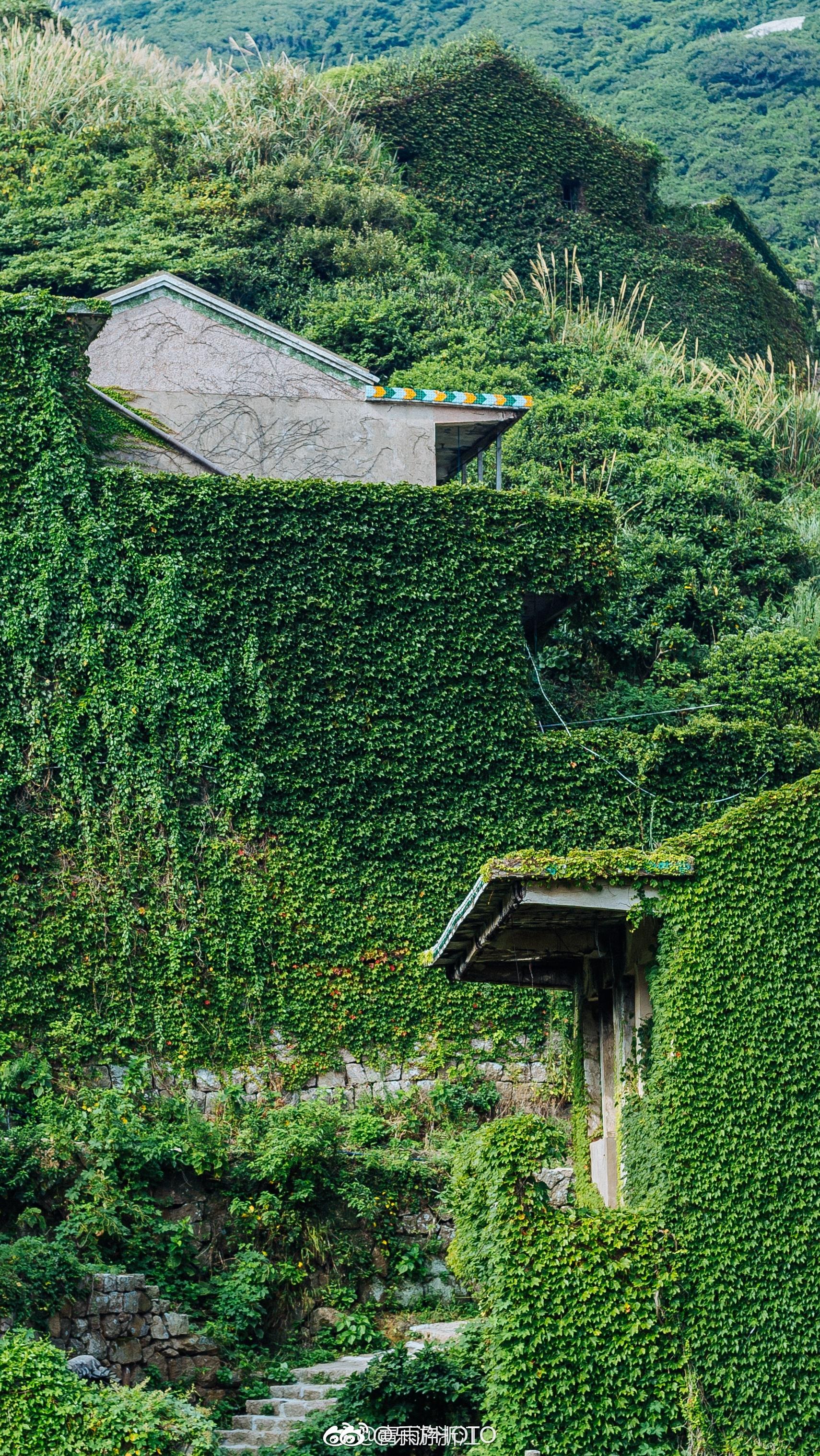 浙江舟山嵊山岛无人村,每一张都能做壁纸 via.@青雨photo