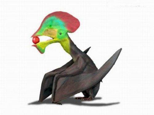 欧洲神翼龙蛙蝾富塔隆柯龙巨刺龙热河鸟夜翼龙蜥结龙:蜥结龙是结节龙