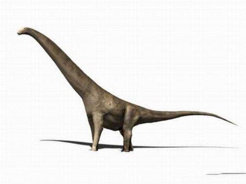 富塔隆柯龙巨刺龙热河鸟夜翼龙蜥结龙:蜥结龙是结节龙科中最早出现的