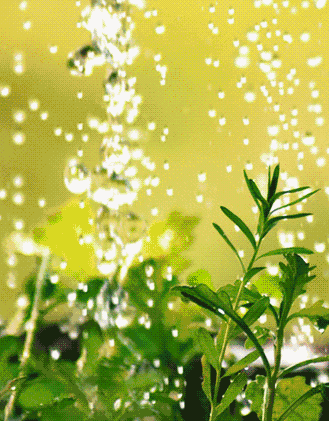 329_421竖版 竖屏gif 动态图 动图