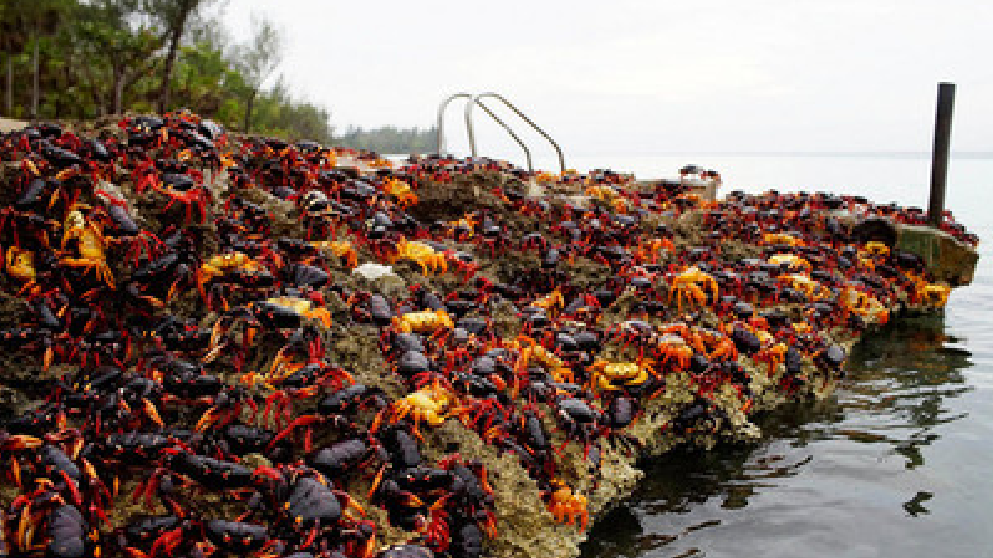 日本这个地方, 被人们看成富人的聚集区, 俊男靓女也很多!