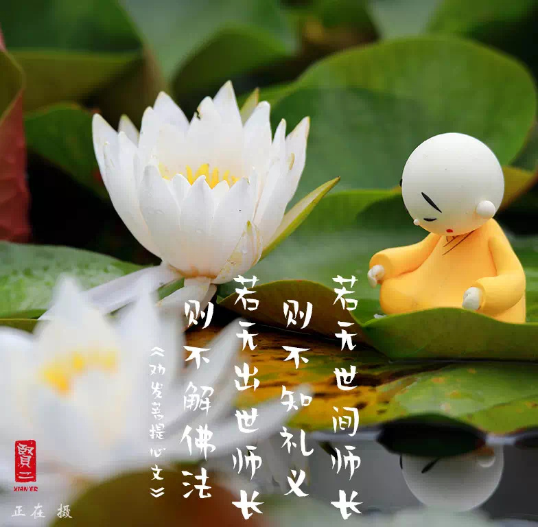 不管学诚法师如何,贤二确实很有生命力|学诚法师|生命力_新浪新闻