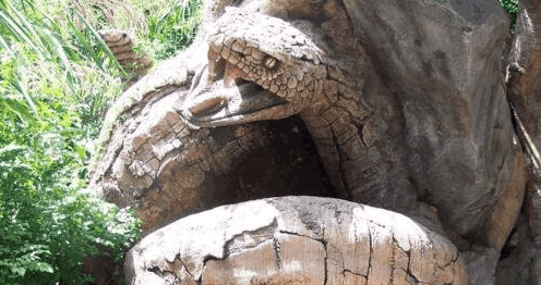 西游记中的蟒蛇精真的存在, 工地挖出百岁蟒蛇成精