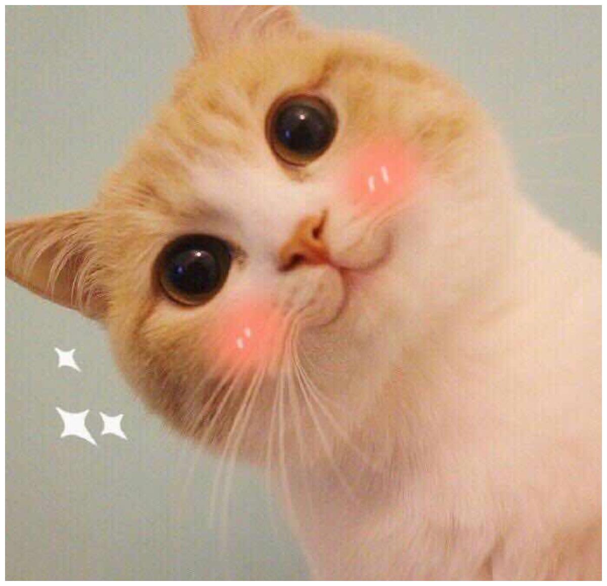 开心一刻:坐月子太无聊了就去客厅晃荡,老妈说我挡着她看电视了