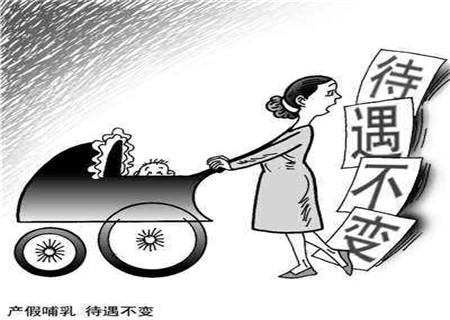 产假和哺乳假一起多久