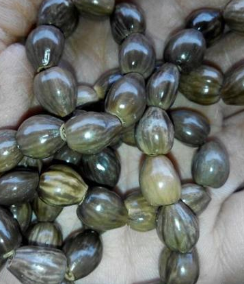 农村以前用来做门帘的草珠子,现如今30元一斤|草珠子