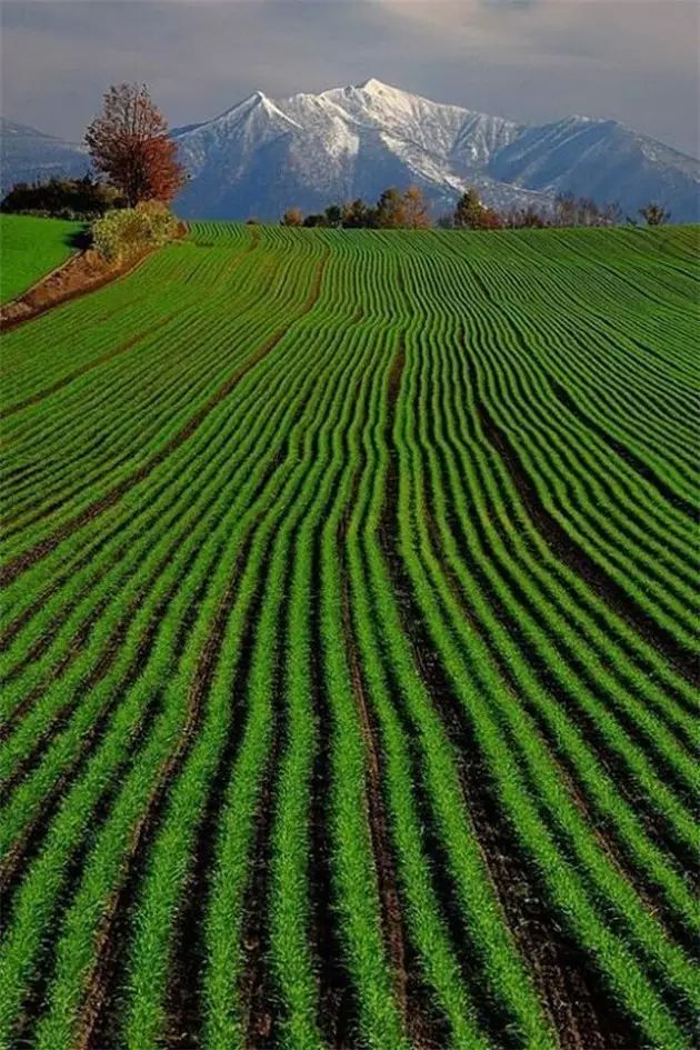 锦绣大地,绝美色彩,最佳壁纸