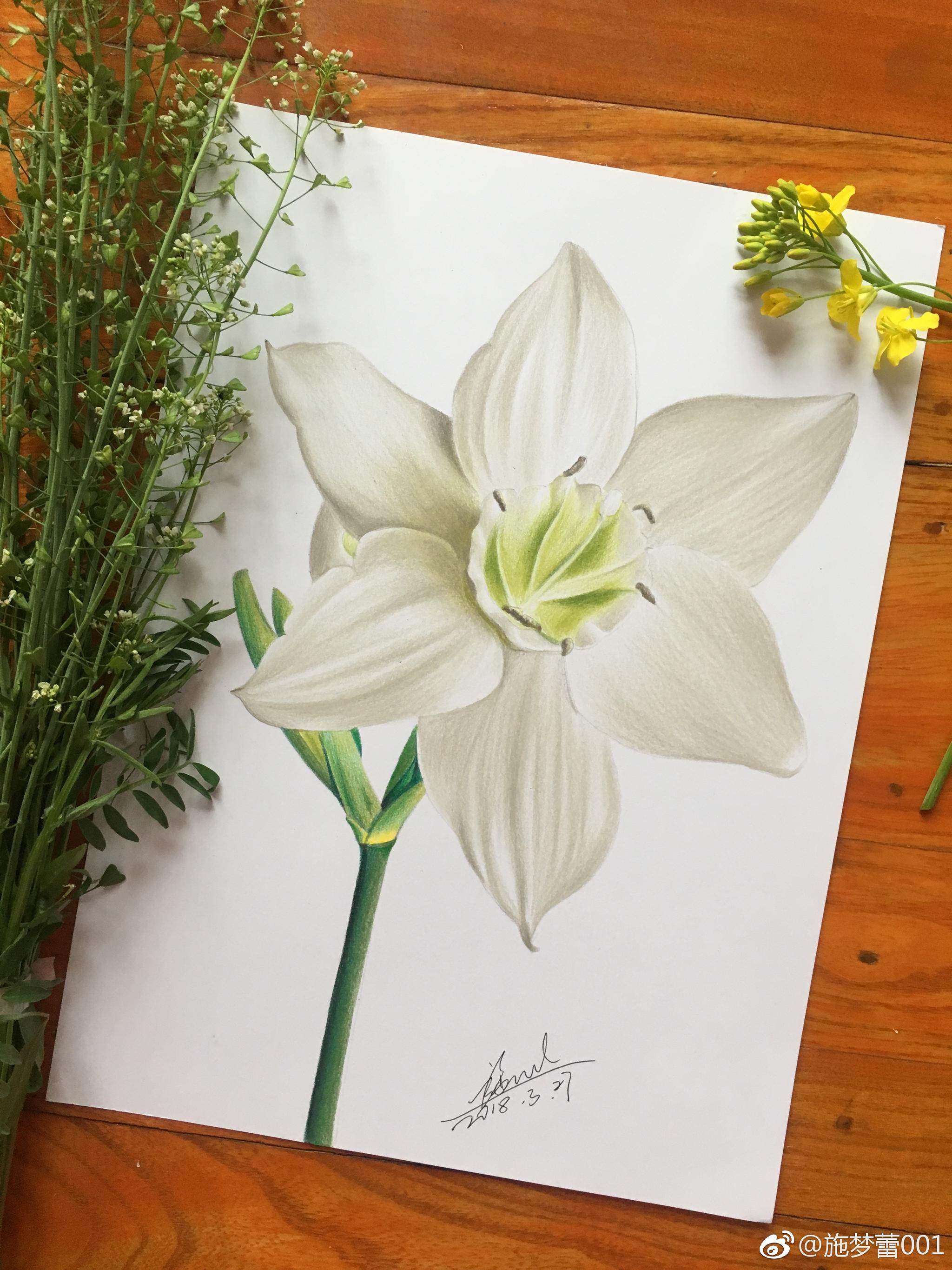 美的眼睛98在我看来除了一些花市上那些高贵的花95路边的荠菜花