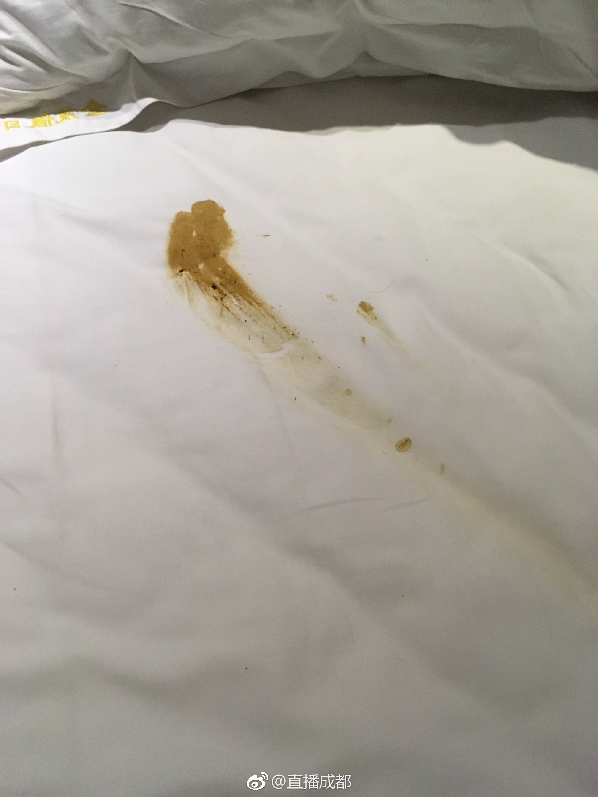 恶心!网友入住春熙路一酒店,发现床上竟然有粪便!