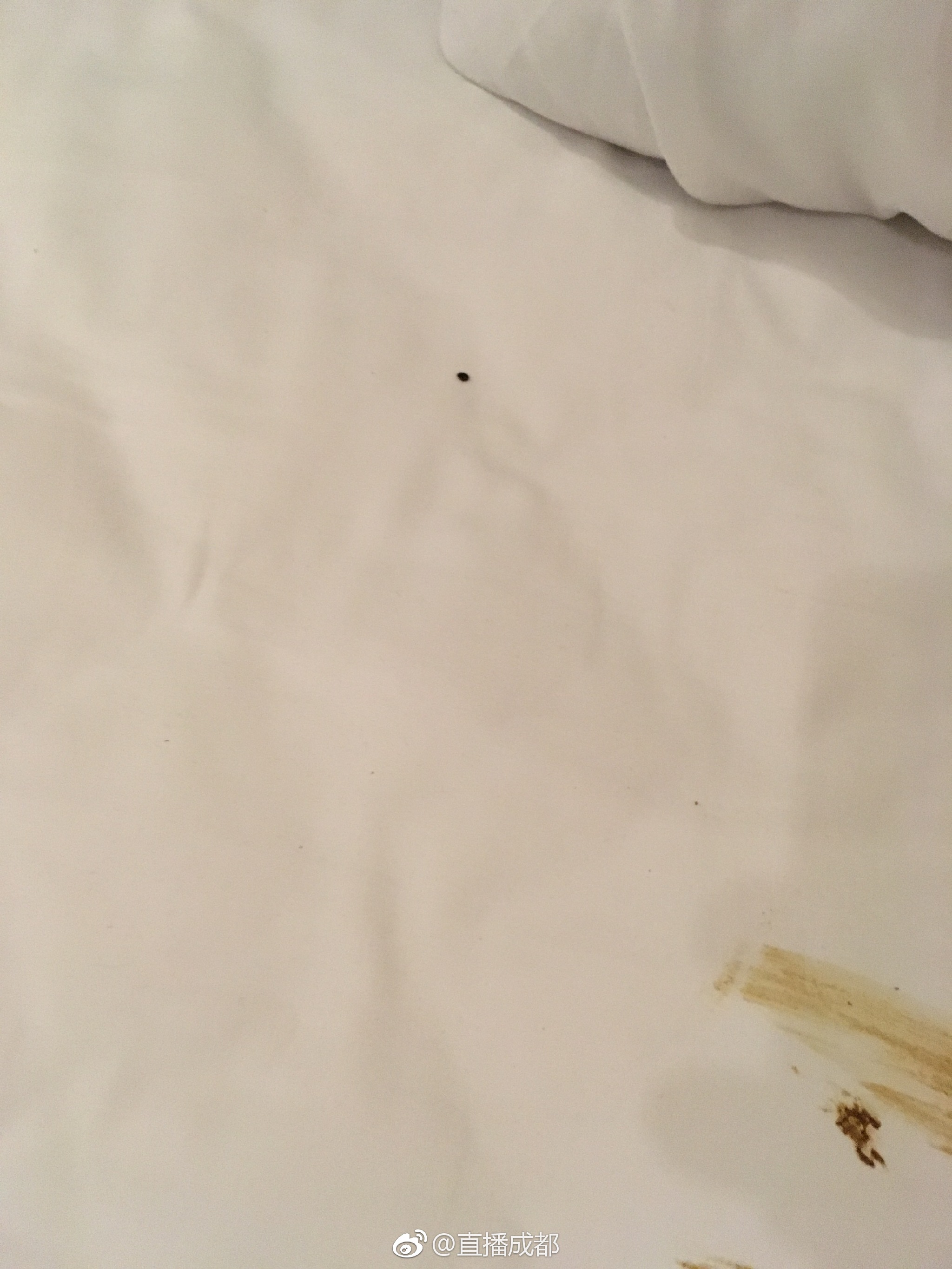 恶心!网友入住春熙路一酒店,发现床上竟然有粪便!