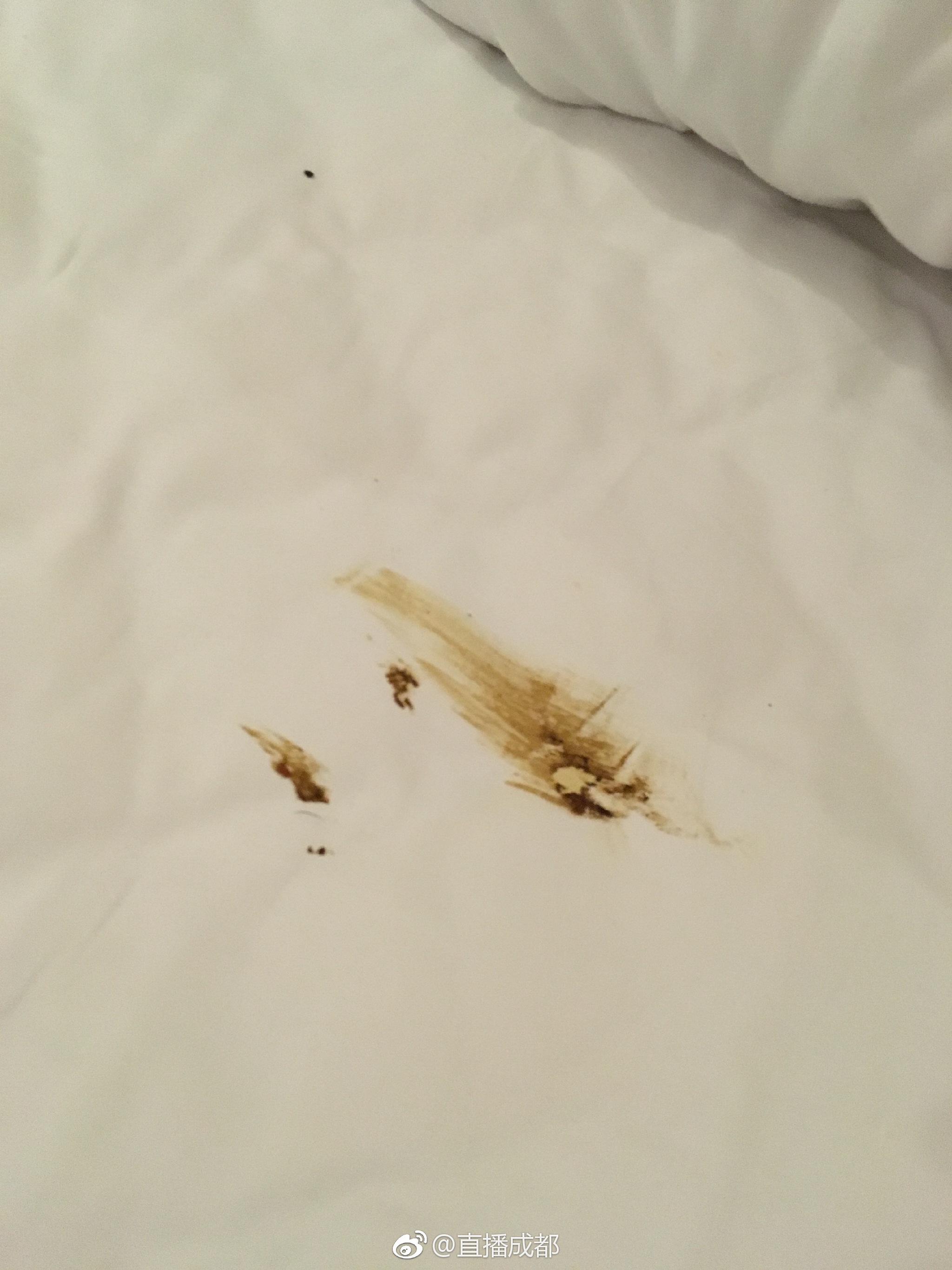 恶心!网友入住春熙路一酒店,发现床上竟然有粪便!