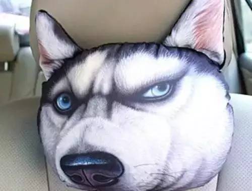 所有车都有这个东西!但大部分车主都不知道怎么用!