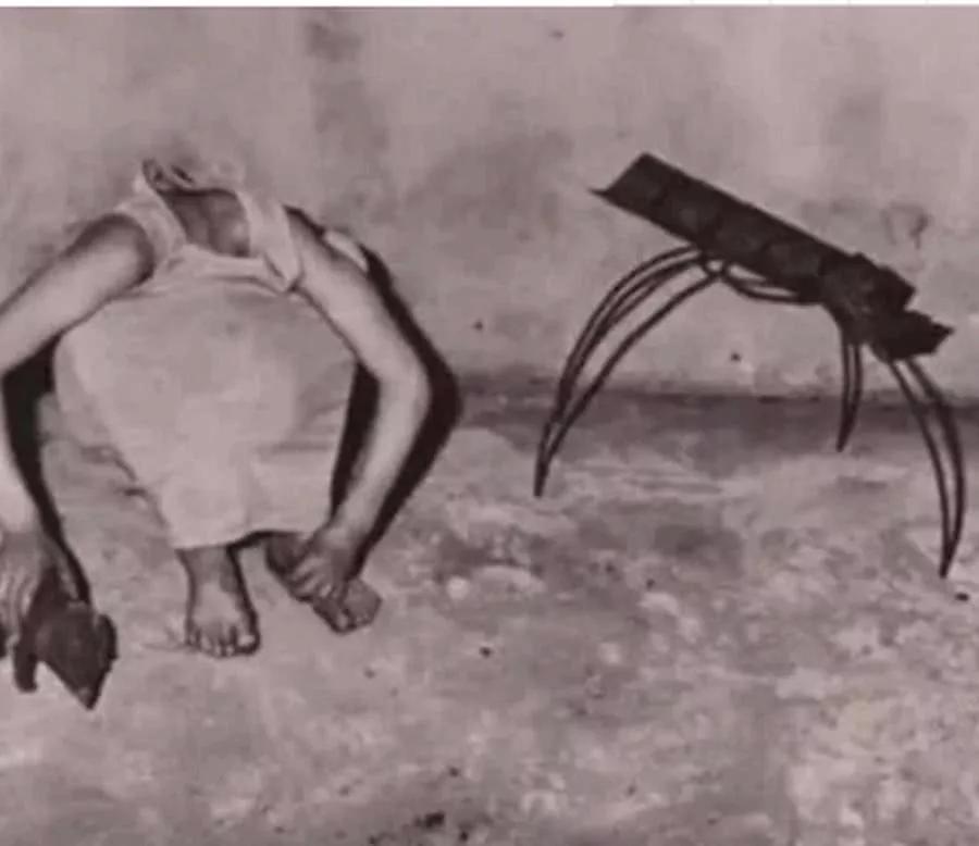 5张让人"心里发毛"的照片,图1洋娃娃瘆人,图5死亡凝视太可怕