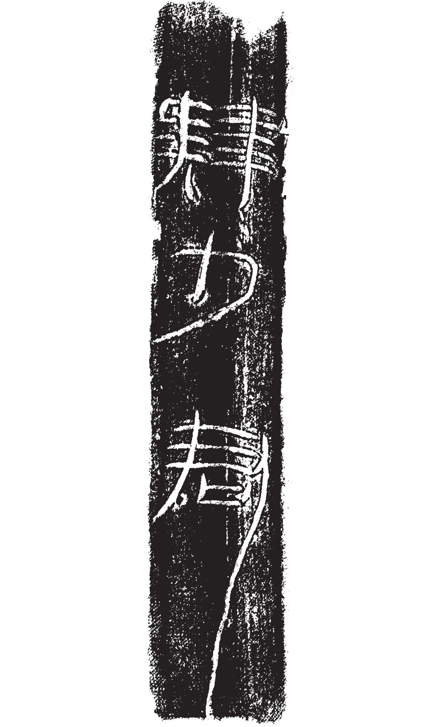 曲阜汉鲁国故城遗址出土陶文