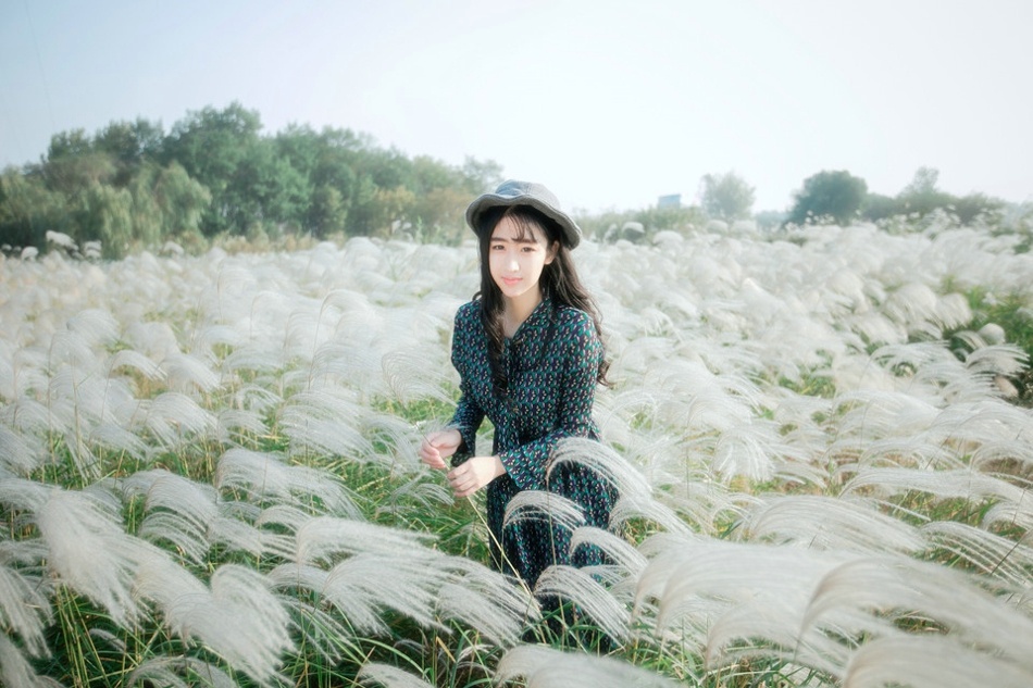 新的seo网站优化排名 排名