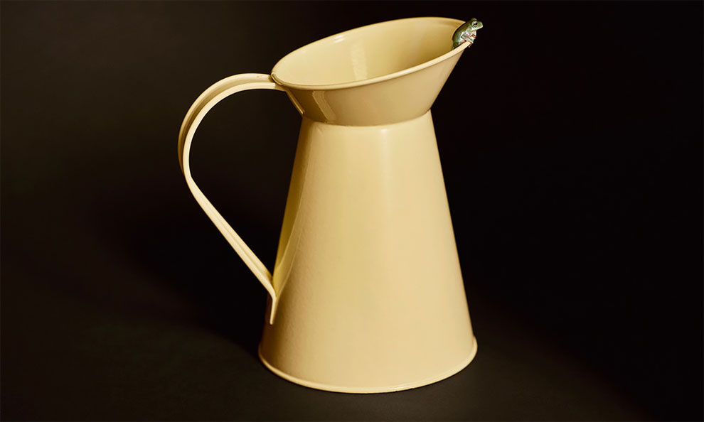 小的可爱 | 英国摄影师 david yeo 把很多小物品与天生小尺寸的动物放