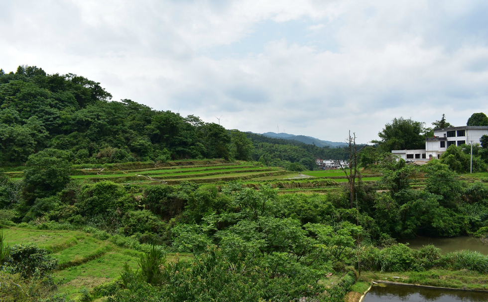 大山深处的农村天然氧吧