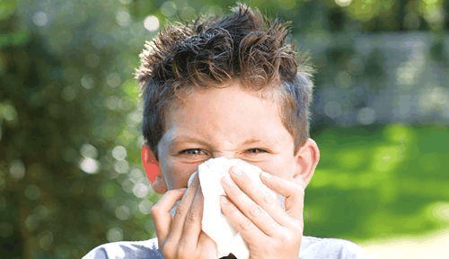 来听听!婴儿鼻塞流鼻涕"推心置腹"-第1张图片-宝林网