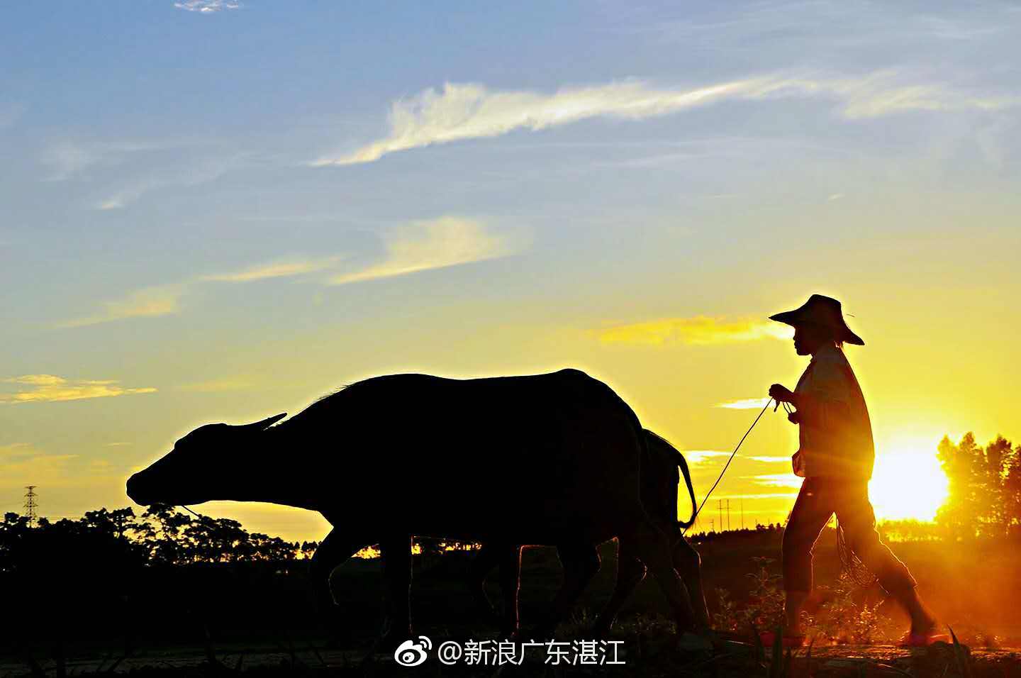 湛江徐闻菠萝的海,首批10条“广东最美旅游公路”之一